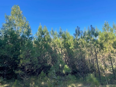 00 N County Line Rd, Maben, MS 39750 - photo 3