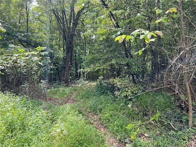 2nd pathway to walk property.