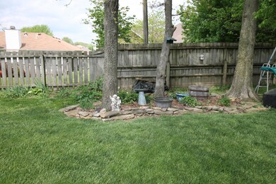 Backyard 2