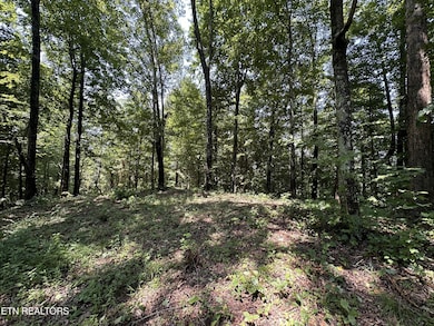 1255 Winningham Rd, Byrdstown, TN 38549 - photo 2