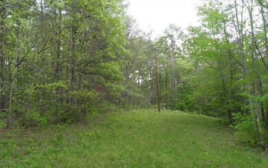 Additional View