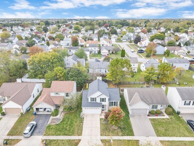 3-web-or-mls-DJI_0401