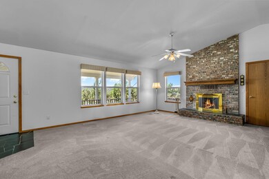 Living Room Windows