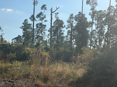 1088/1090 Ainsworth St E, Lehigh Acres, FL 33974 - photo 3