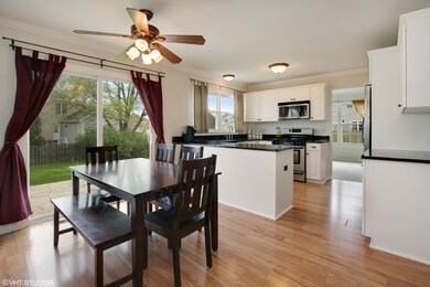 921 Prairie Dr, Algonquin, IL 60102 - photo 6