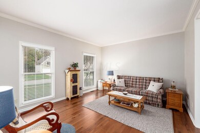 Large Windows & Crown Molding