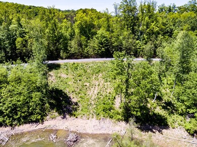 Lot 12 - Lakefront on Douglas Lake