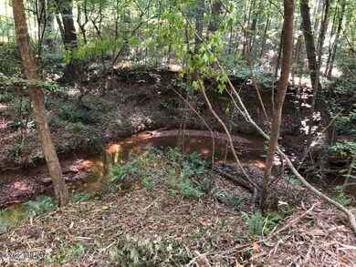 Chriswood Lot 16 Rear Creek