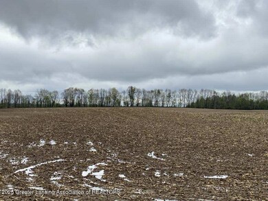 00 W Cutler Rd, Dewitt, MI 48820 - photo 5