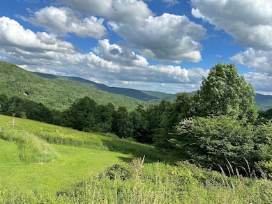 567 Headwaters Rd, Slatyfork, WV 26291 - photo 2