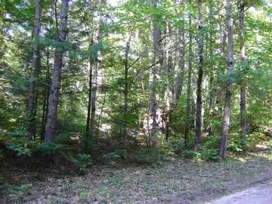 00 Savoy unit 24, Moultonborough, NH 03254 - photo 4