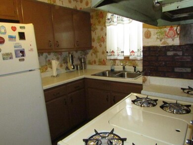 Kitchen with sink, white refrigerator, decorative 