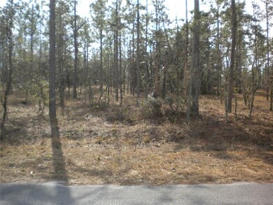 lightly treed acre
