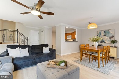 3859 El Camino Place unit 2, Alexandria, VA 22309 - photo 2