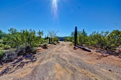Saddle Butte (1)