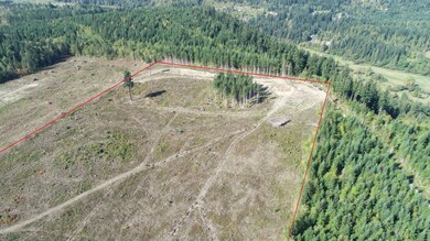 10119 Eatonville Hwy E, Eatonville, WA 98328 - photo 6