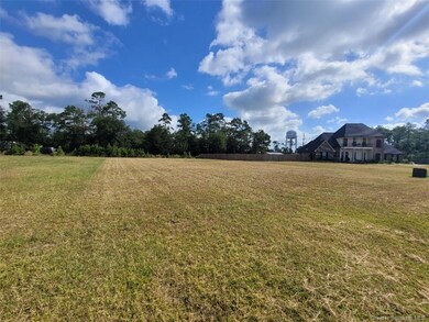 0 Coffey Pines Rd, Lake Charles, LA 70611 - photo 3