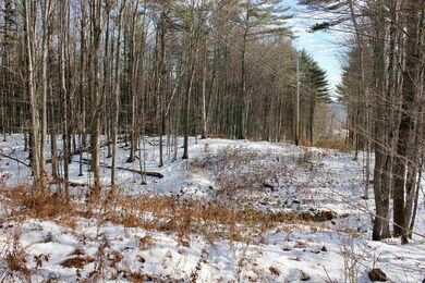 00 Tyson Rd, Reading, VT 05062 - photo 4