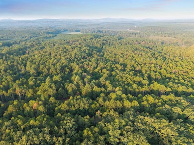 22400 Ross Loop, Paron, AR 72122 - photo 6