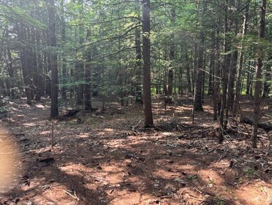 0 Marden Rd, Wilton, NH 03086 - photo 2