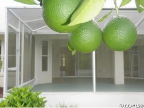 1648 E Saint James Loop, Inverness, FL 34453 - photo 2