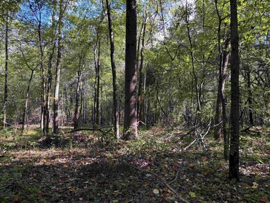 0 Bethuel Rd unit 16, Unincorporated, TN 38053 - photo 4