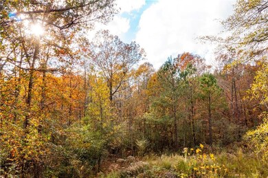 View of nature