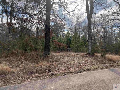 0 Joe Thomas Rd unit 114052, Texarkana, TX 75501 - photo 2