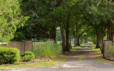 5137 256th St, O'Brien, FL 32071 - photo 2