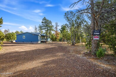 3051 State Route 277 --, Overgaard, AZ 85933 - photo 6