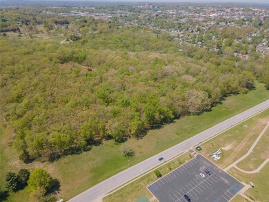 0 34 87 Acres Southview Dr, Rolla, MO 65401 - photo 2