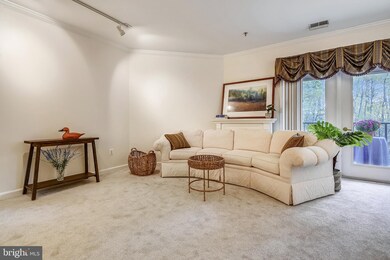 802 Coxswain Way unit 105, Annapolis, MD 21401 - photo 4