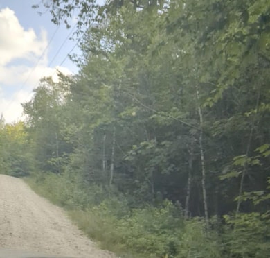 174 Saunders Rd, Woodstock, ME 04219 - photo 2