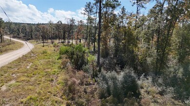 TBD 7 Reveille Rd, Livingston, TX 77351 - photo 6