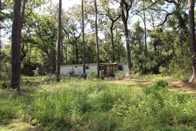 51 Ramblewood Rd, Crawfordville, FL 32327 - photo 5