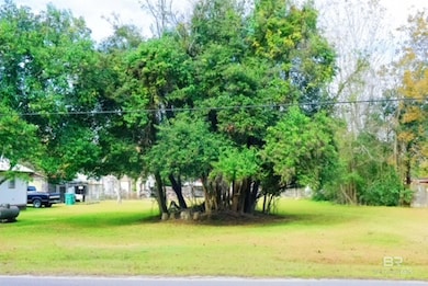 118 Short St, Atmore, AL 36502 - photo 4