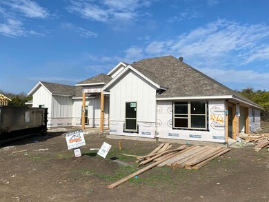 1062 Preserve Ct, Springtown, TX 76082 - photo 2