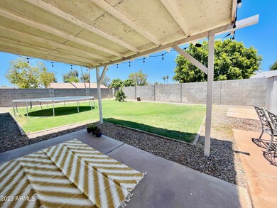Large Backyard