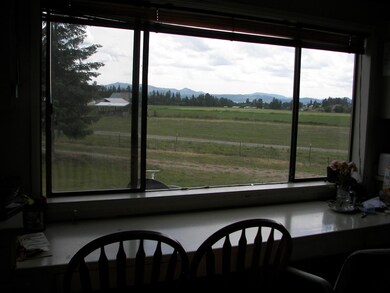 view from kitchen