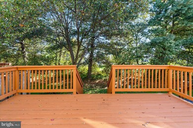 7925 Brightwind Ct, Ellicott City, MD 21043 - photo 5