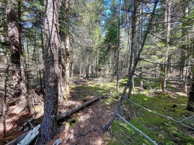 91A S Burnt Cove Road001