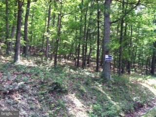 3 Little Cacapon Mtn Rd, Slanesville, WV 25444 - photo 3