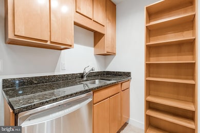 Riverside unit A714, Washington, DC 20024 - photo 4