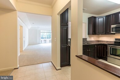 8611 Wintergreen Ct unit 304, Odenton, MD 21113 - photo 3