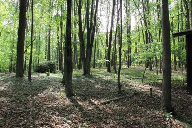 1063 Fox Ln, Hide A Way Hills, OH 43107 - photo 7