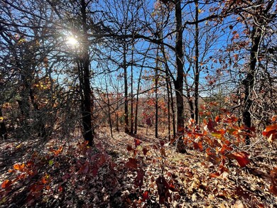 0 S 4507 Rd unit 2548217, Vian, OK 74962 - photo 5