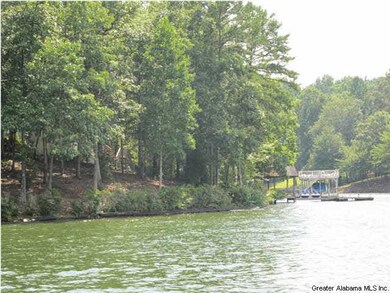 Lot 1 Wedowee Creek View Dr unit LOT 1, Wedowee, AL 36278 - photo 5