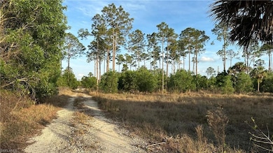 1210 Little Ln, Central Naples, FL 34105 - photo 4