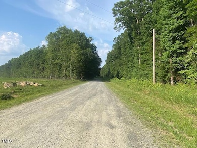 image2 (1)