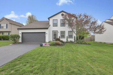 4-web-or-mls-IMG_0563